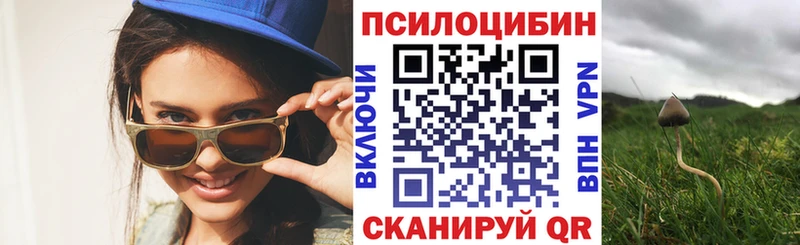 kraken как войти  это какой сайт  Псилоцибиновые грибы ЛСД  Трубчевск 